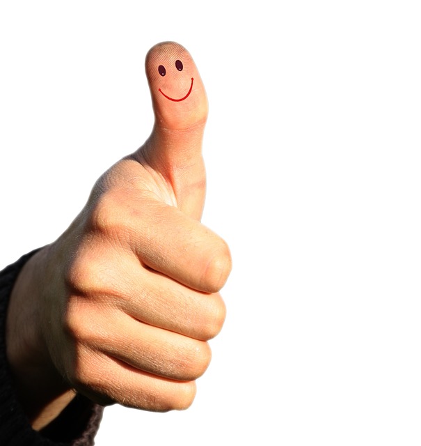 thumb 328420 640