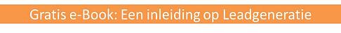 Banner gratis e Book Leadgeneratie