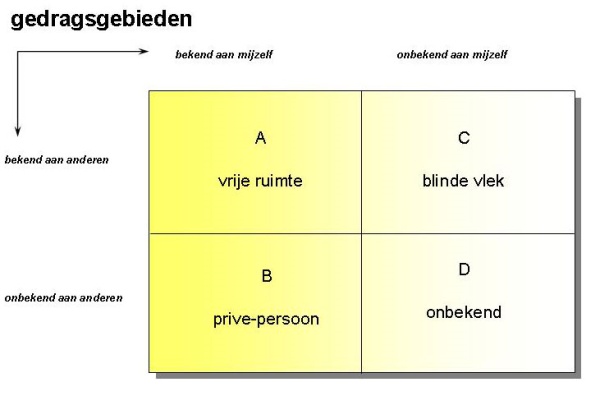 blind-spot-organization