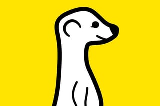 meerkat